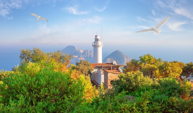 Lighthouse at Cape Gelidonia among green trees and seagulls in sky