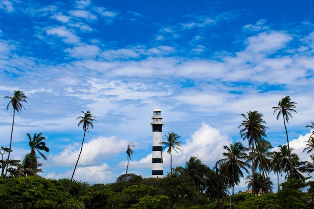 Photo lighthouse and coconut trees