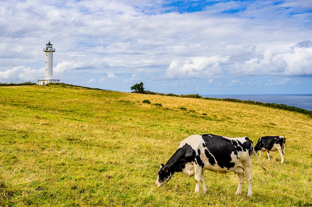 사진 lastres asturias 스페인의 등 대