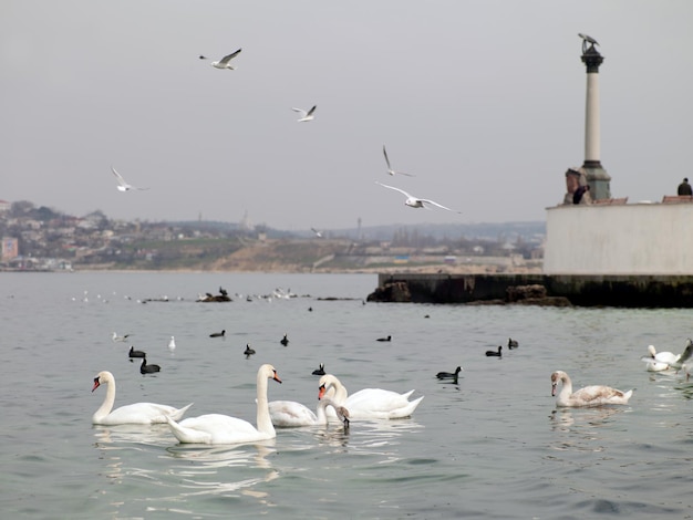 The lighthouse on the river bank.