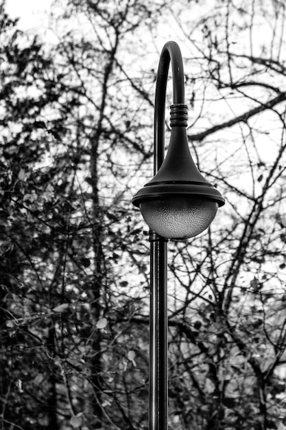 Photo lighting equipment against tree