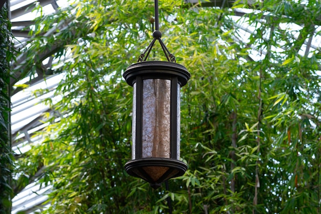 Lighting lantern in the greenhouse