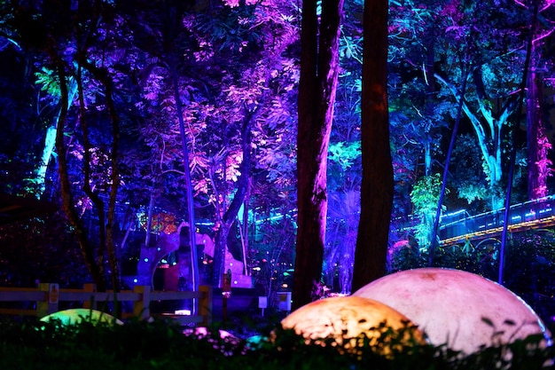 Photo lighting in the night park night illumination in the park