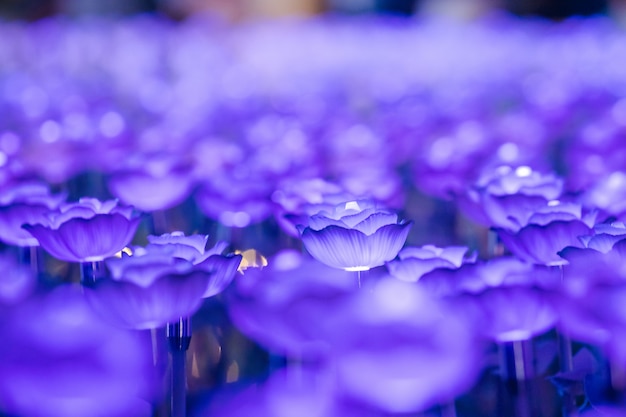 明かりは花のように飾られ、祭りの夜に美しい光を作り出します。