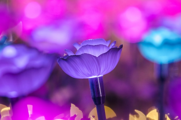 Photo the lights are decorated as flowers to create beautiful light at night at the festival.