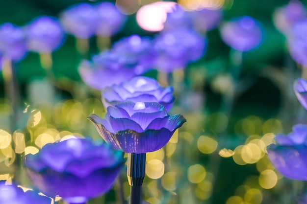 축제에서는 밤에 아름다운 빛을 내기 위해 꽃으로 장식되어 있습니다.