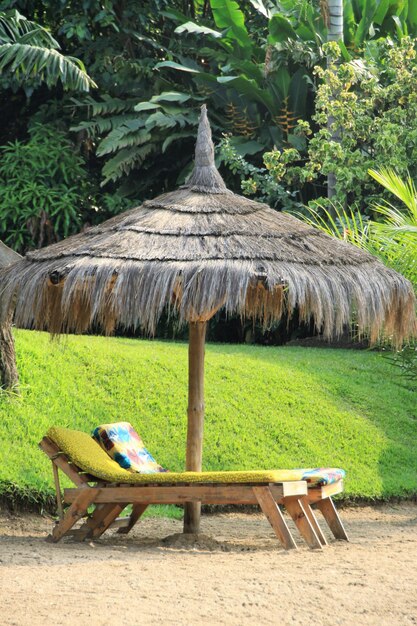 Ligstoelen en paraplu's