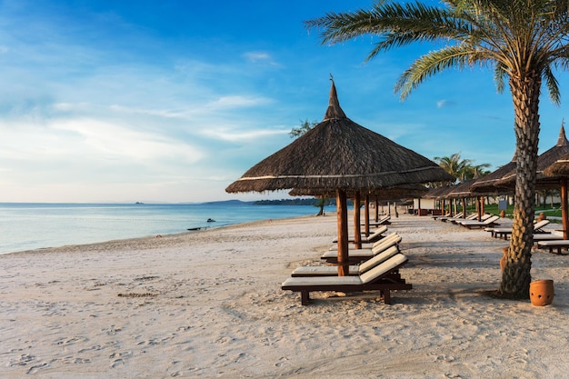 Ligstoelen en parasols op zandstrand