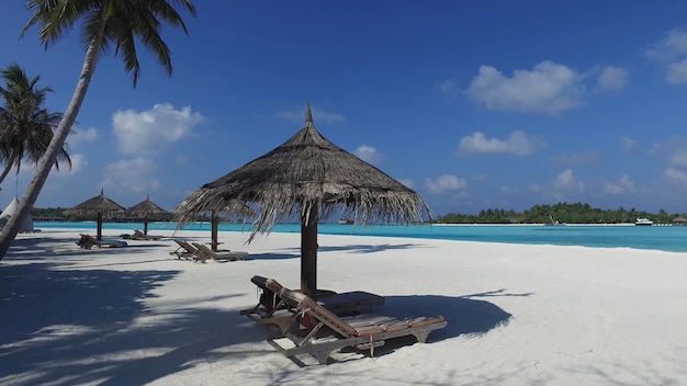 Ligstoelen onder parasols palmbomen zand en oceaan