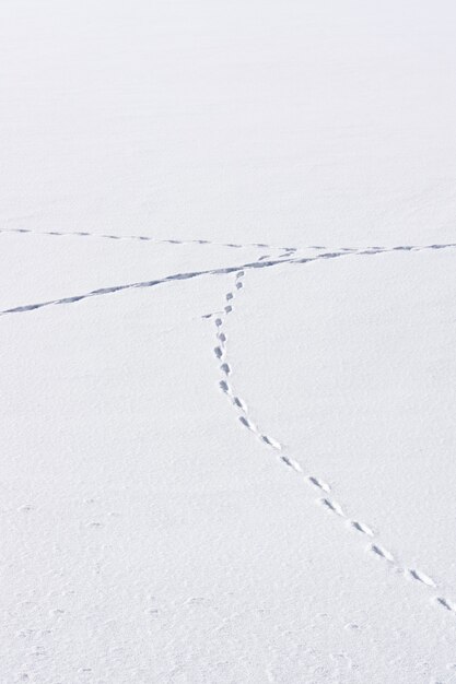 Lijn van man's voetafdrukken in de sneeuw