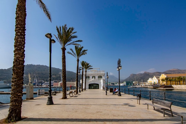 Lijn van palmbomen kustboulevard in de regio Cartagena Murcia