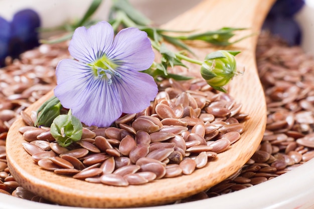 Lijnzaadkorrels op tafel Linum usitatissimum