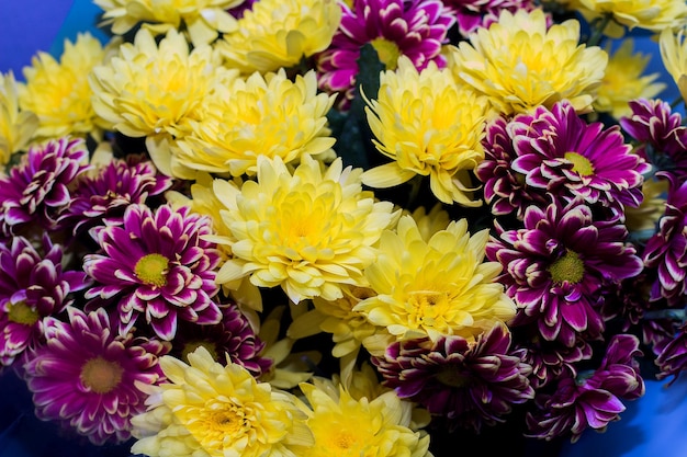 Lila asters en gele chrysanten boeket bloemen close-up