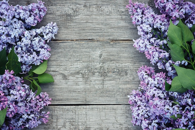 Lila bloemen op houten achtergrond. Mooie sering op houten achtergrond.