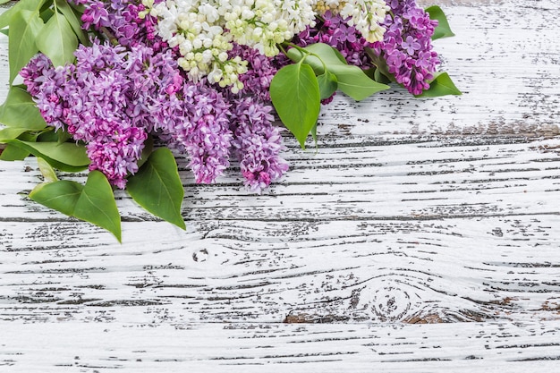 Lila bloemen op rustieke achtergrond