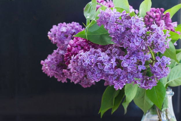 Lila bloemen op zwart