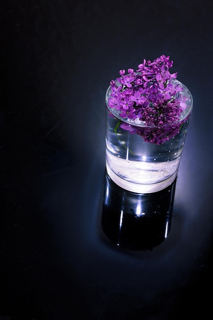 Lila bloemen staan in water in een glazen beker of vaas op een zwarte achtergrond met schittering van licht