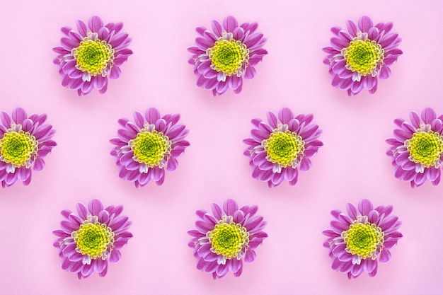 Lila bloemenpatroon roze pastel achtergrond Minimalistische bloemen achtergrond flatlay stijl bovenaanzicht