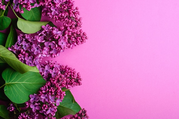 Lila boeket bloemen met bladeren op minimale paarse achtergrond, bovenaanzicht kopie ruimte