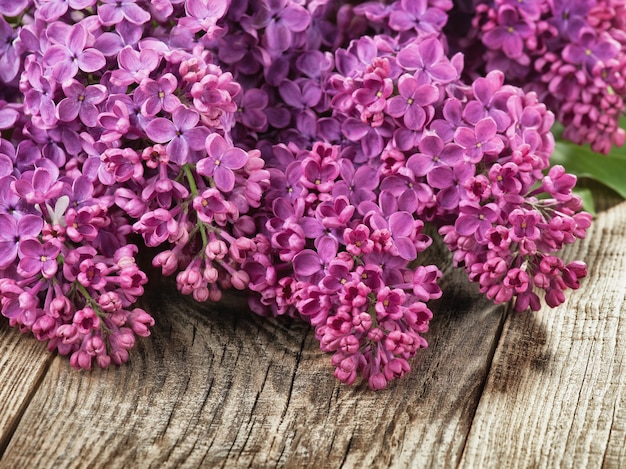 Lila op een houten ondergrond. Lentebloem