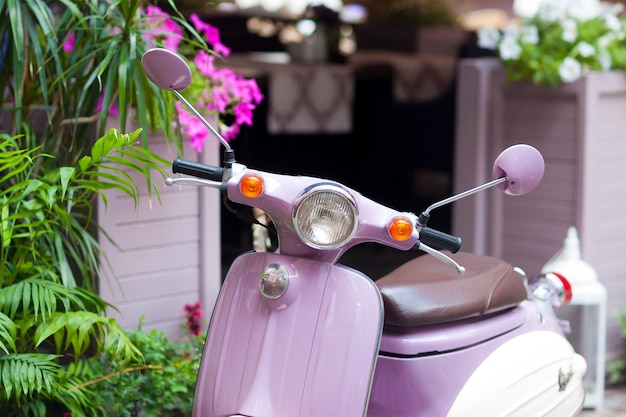 Lila scooter geparkeerd op bloemen straatdaglicht