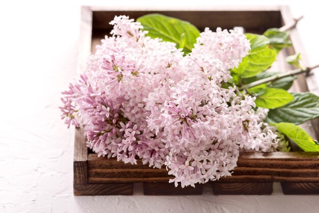 Lilac background Blossom lilac in wooden tray Lilac flowers Holiday background