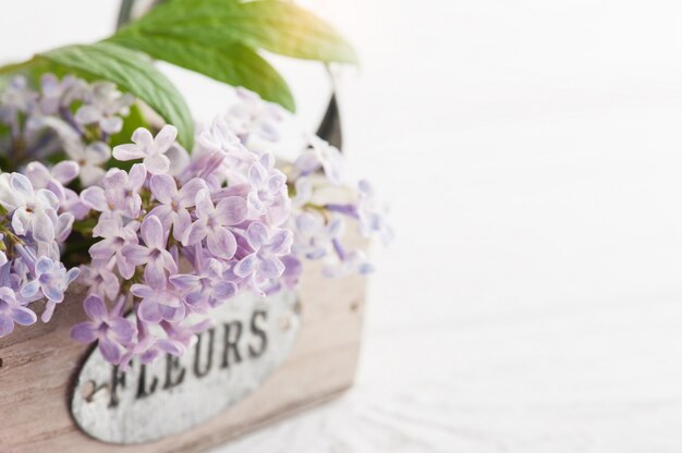 Lilac bloemen in doosclose-up