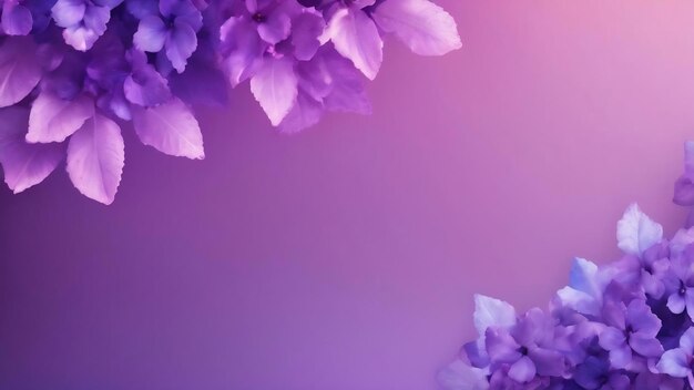 Lilac and blue color gradient background blurred purple backdrop background for your graphic design