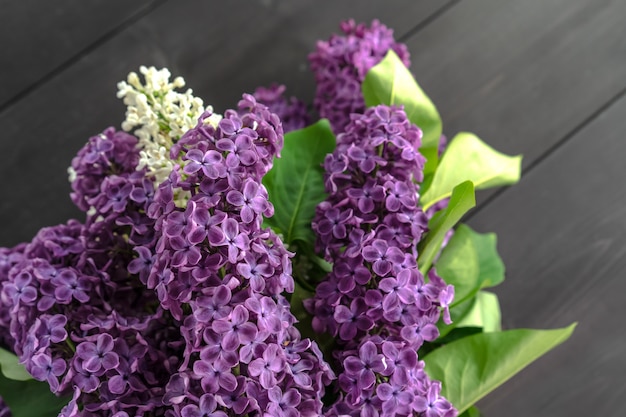 Lilac branch on wooden table