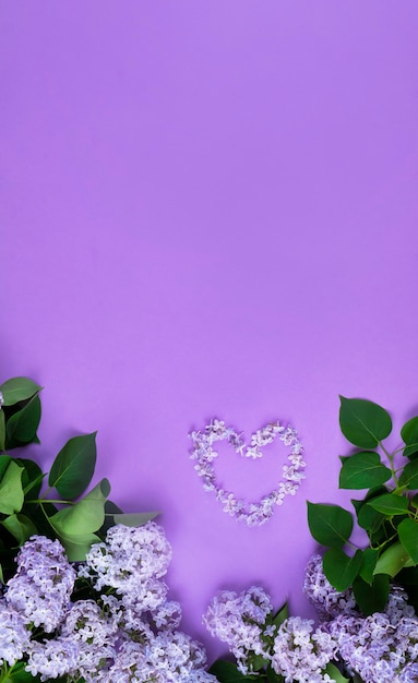 Lilac bush blossom flowers with a heart shape in petals