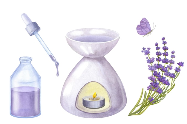 Lilac cosmetic lavender essential oil burner bottle butterfly draw watercolor illustration isolated