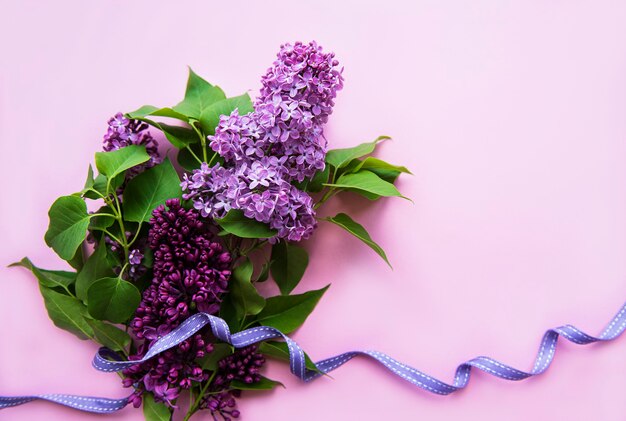 Lilac in flat style on pink surface
