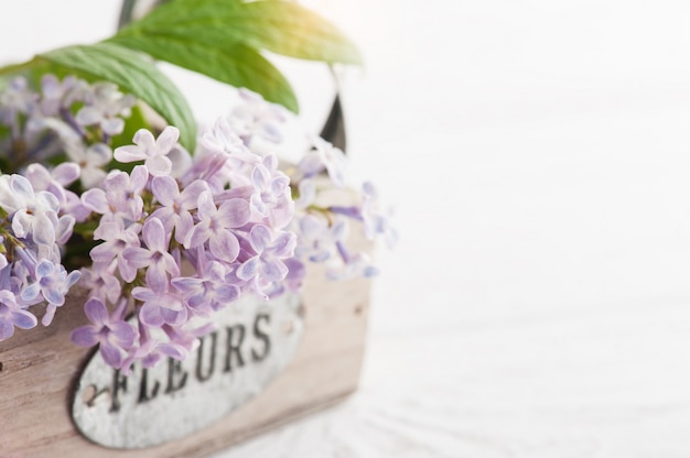 Lilac flowers in box closeup