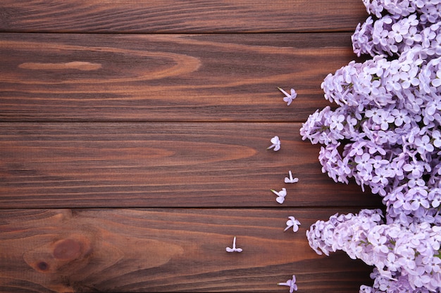 Lilac flowers branch on brown  with copyspace