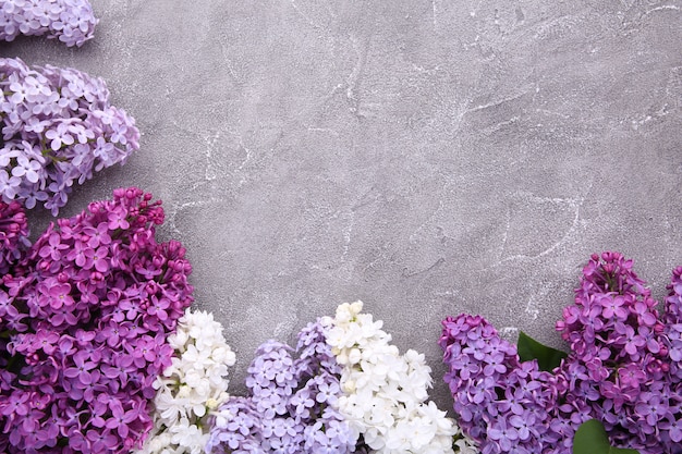 Photo lilac flowers branch on grey background concrete  with copyspace