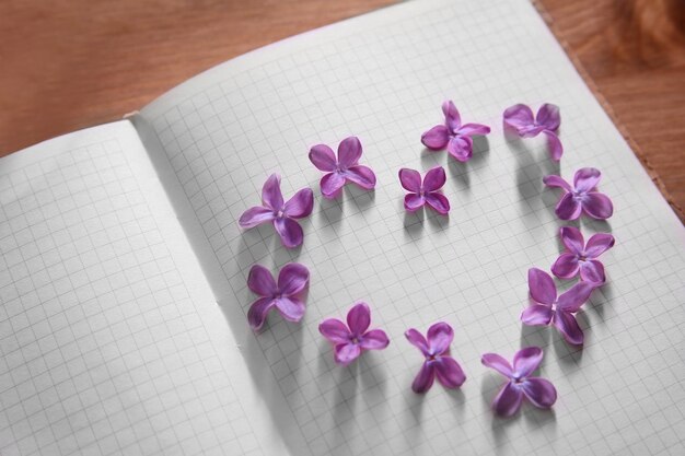 Lilac flowers in a heart shape on open white book