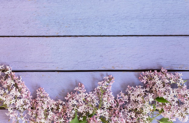 Lilac flowers on old wooden purple background