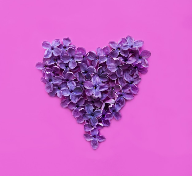 Lilac flowers in the shape of a heart on a pink background, top view