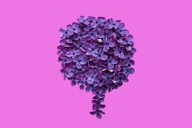 Lilac flowers in the shape of a tree on a pink background, top view