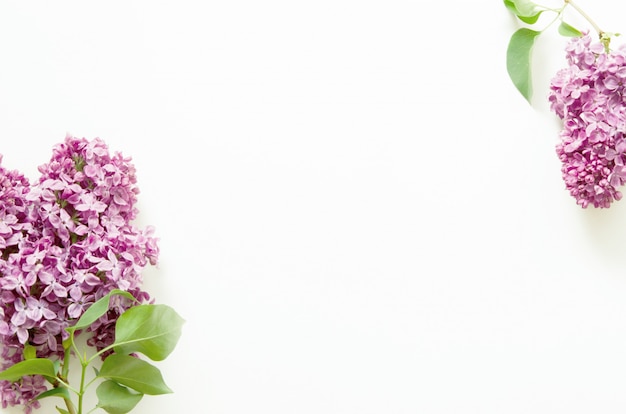 Lilac flowers. Spring flowers. Top view, flat lay, copy space. 