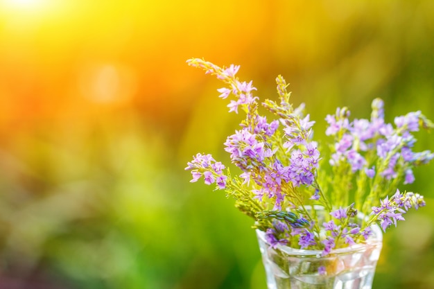 Fiori lilla in un vaso di close-up su uno sfondo naturale