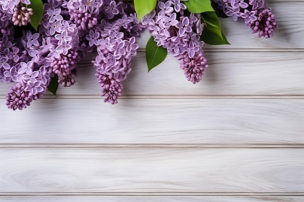 Lilac flowers on white wooden background spring flat lay composition Top view Copy space