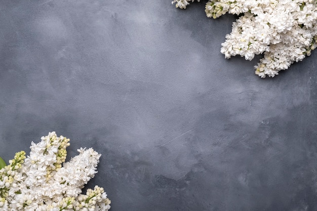 lilac flowers with copy space. Top view