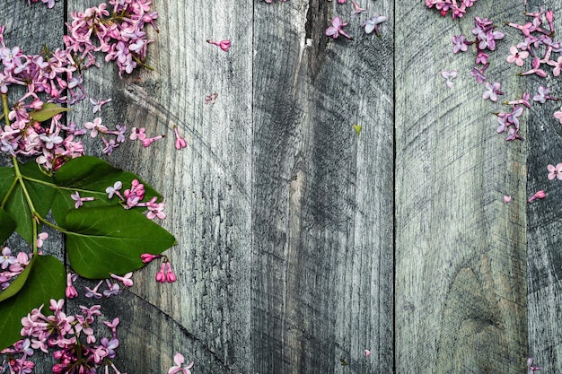 Lilac flowers on wooden board