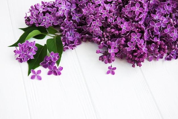 Photo lilac flowers