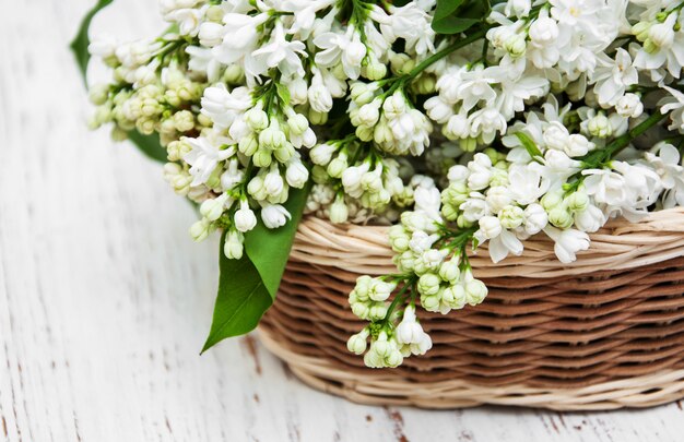 Lilac flowers