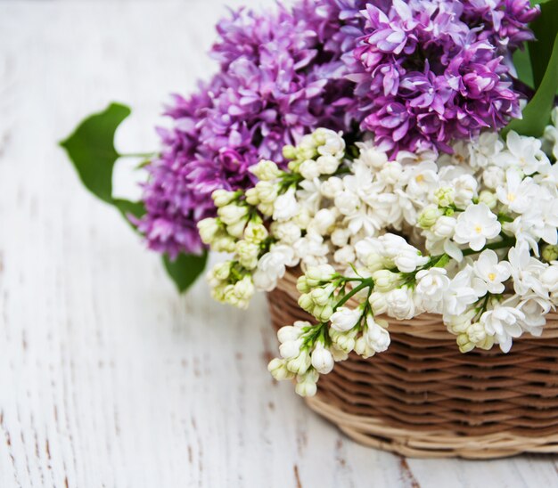 Lilac flowers