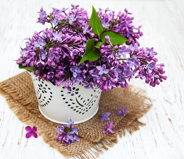 Lilac flowers