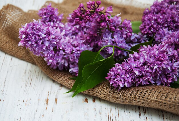 Lilac flowers