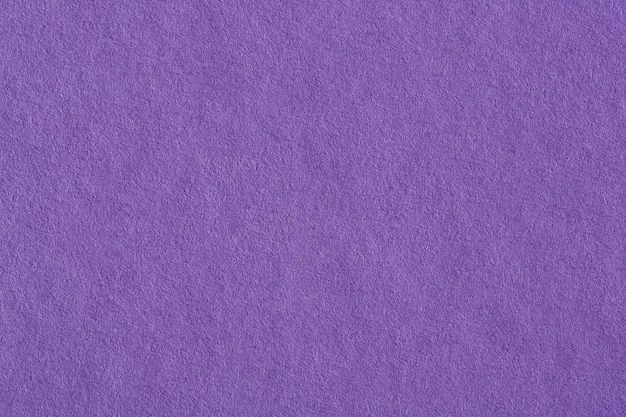 Lilac paper background, texture. High resolution photo